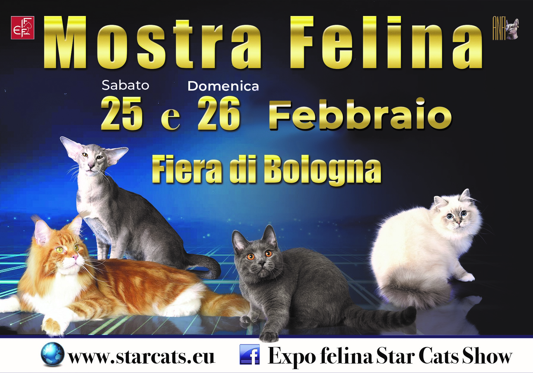 mostra felina2023