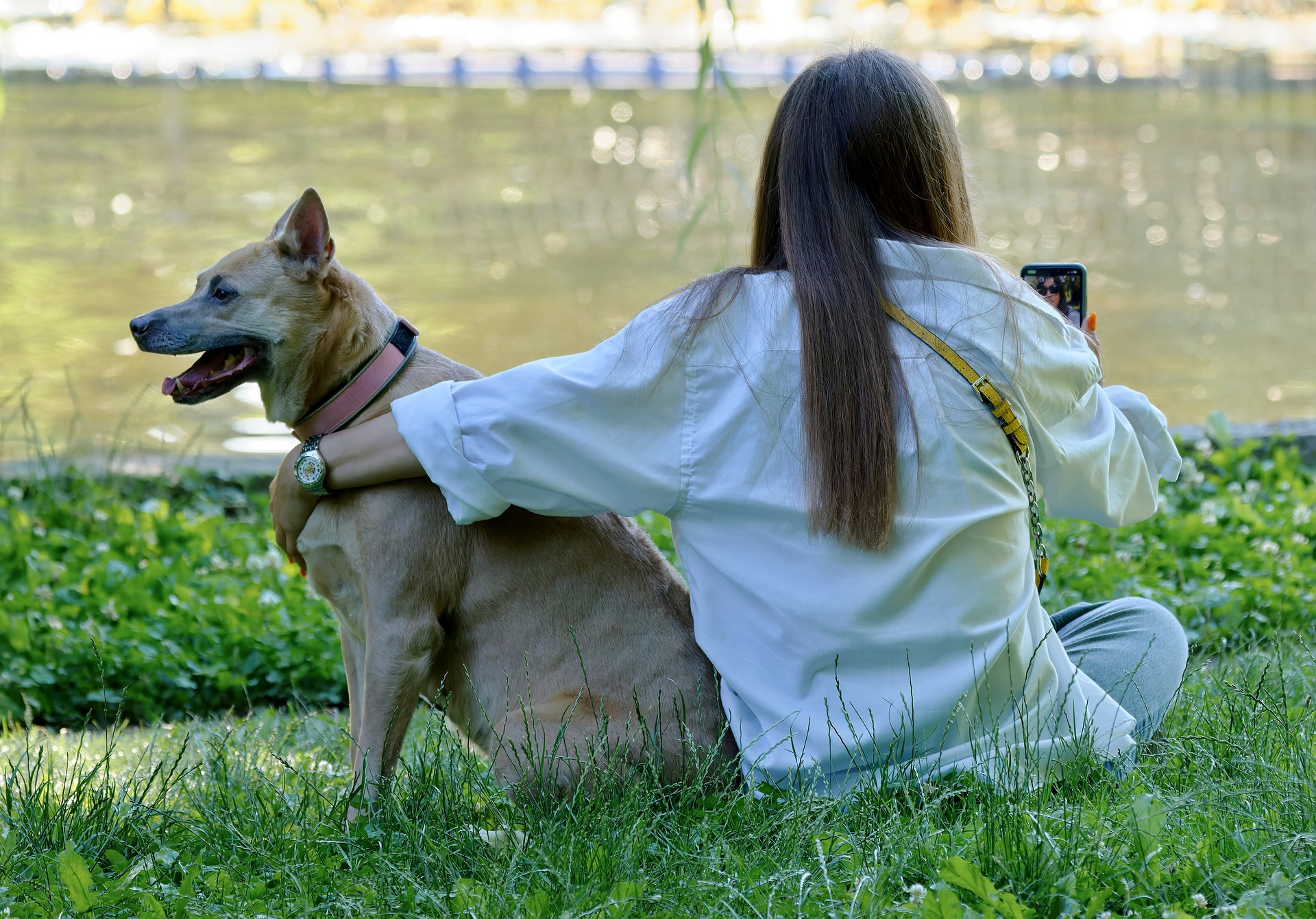 cane smartphone