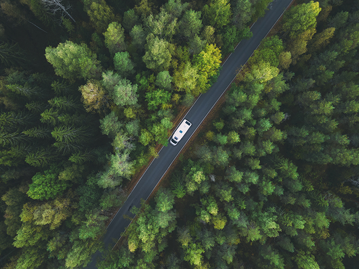 Camper dallalto foresta web