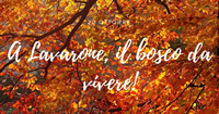 lavarone evento 20ottobre2018 ok 200s