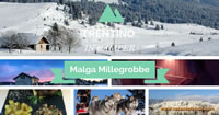 malga millegrobbe news 200s