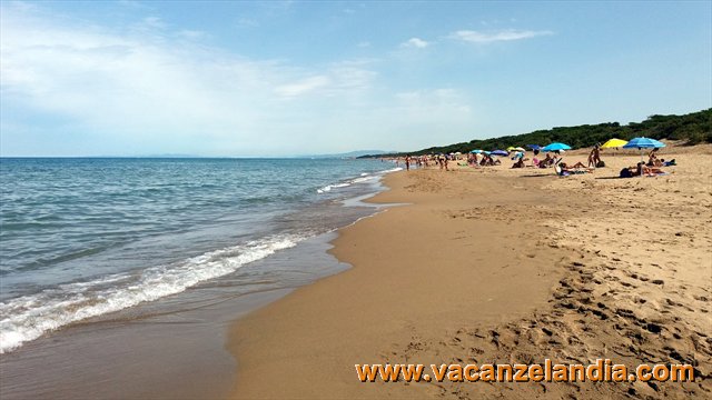 156 Toscana Val di Cornia Parco costiero di Rimigliano spiaggia