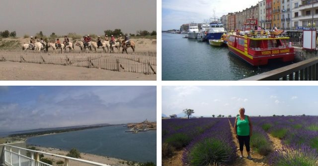 Camargue