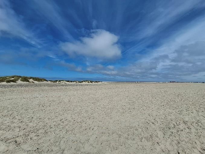 grenen