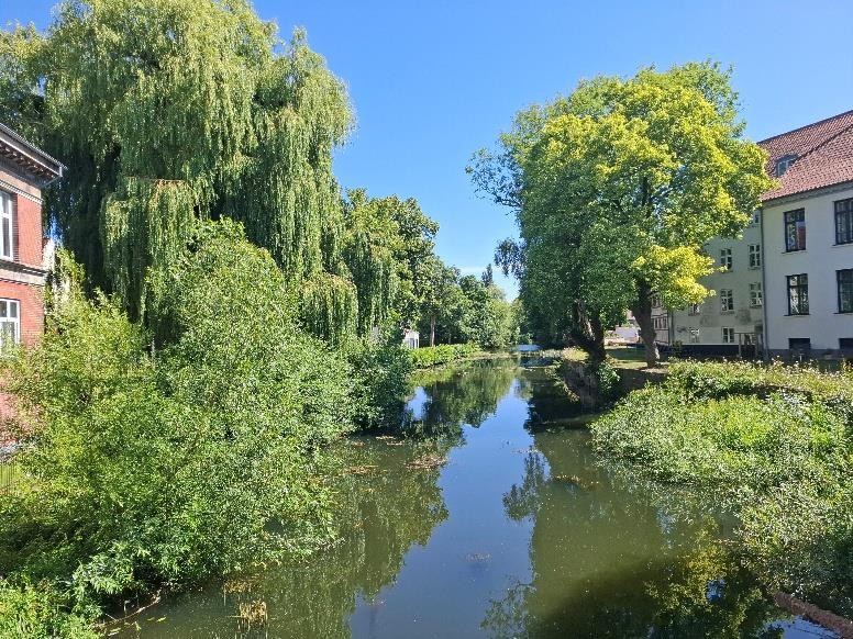 odense