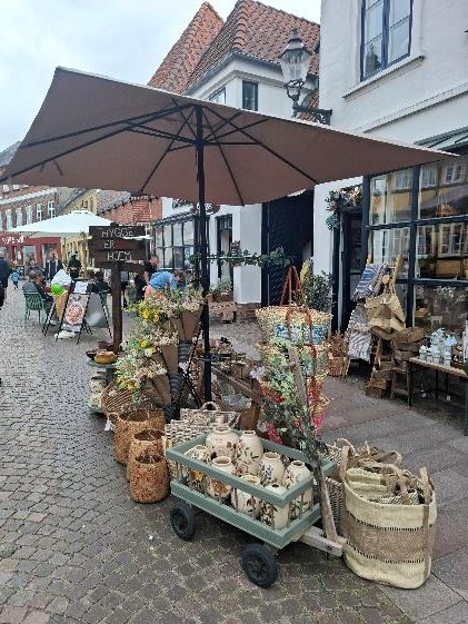 ribe scorcio1