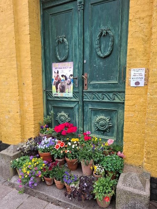 ribe scorcio2