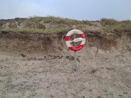 skagen scorcio