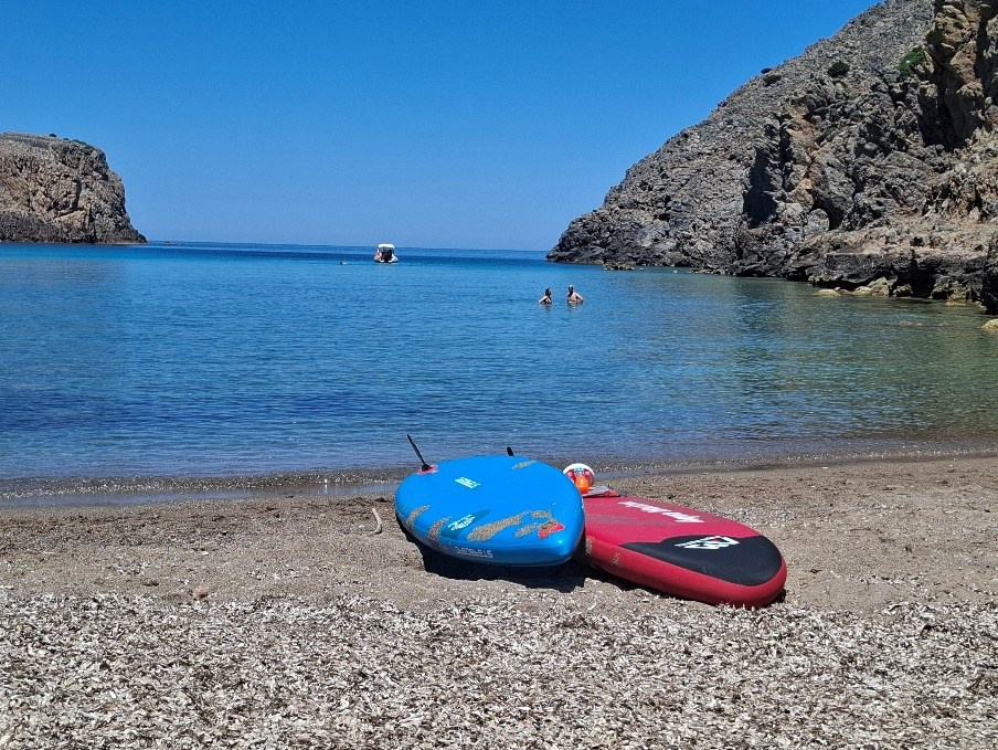 cala domestica