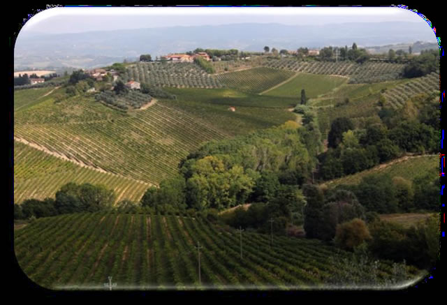 colline toscane