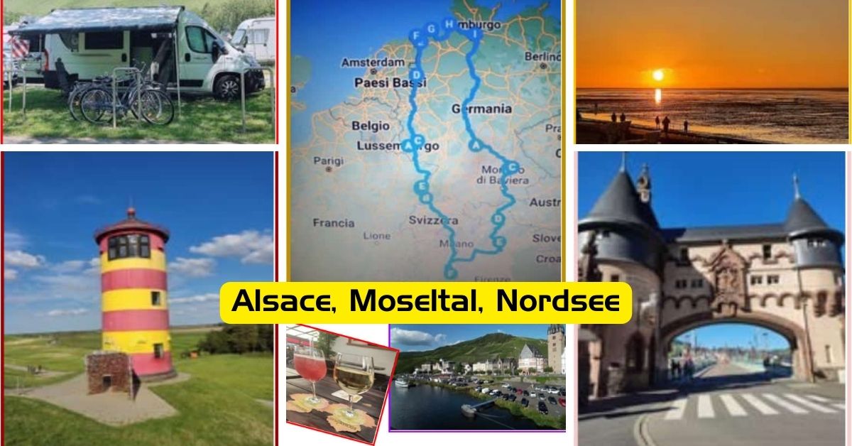 Alsazia Mosella Nordsee barbagianni