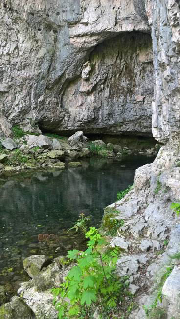 grotte oliero