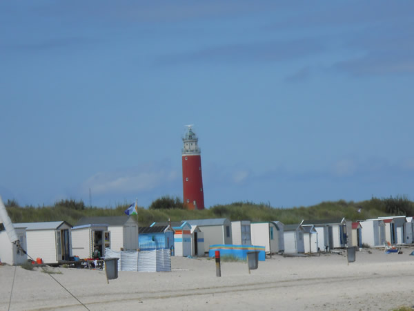 19_texel