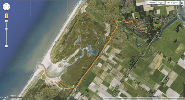 21_texel