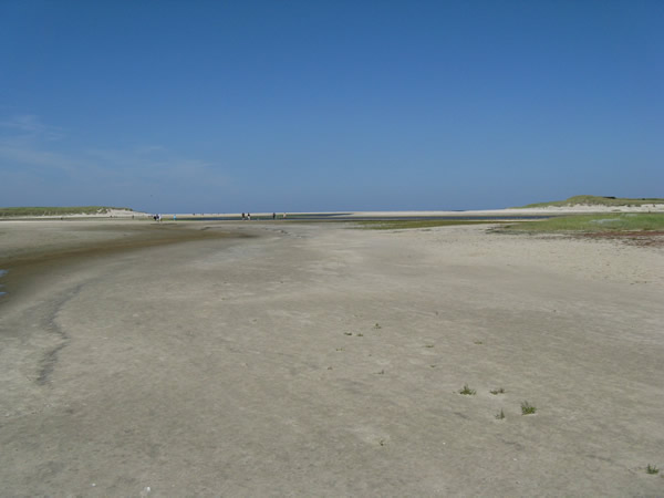 22_texel