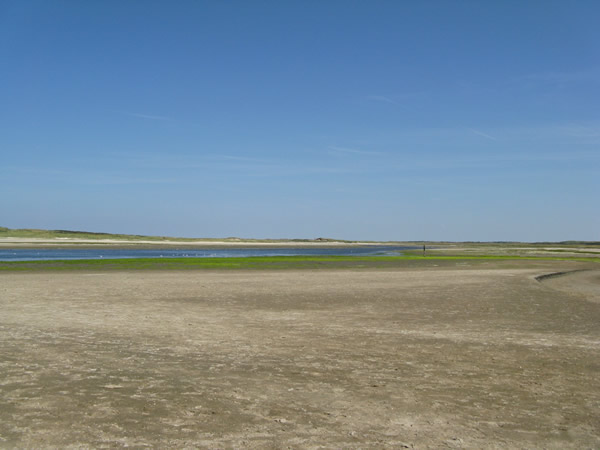 23_texel