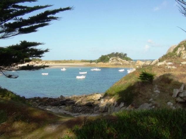 45_roscoff