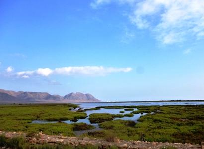 Cabo de Gata_1