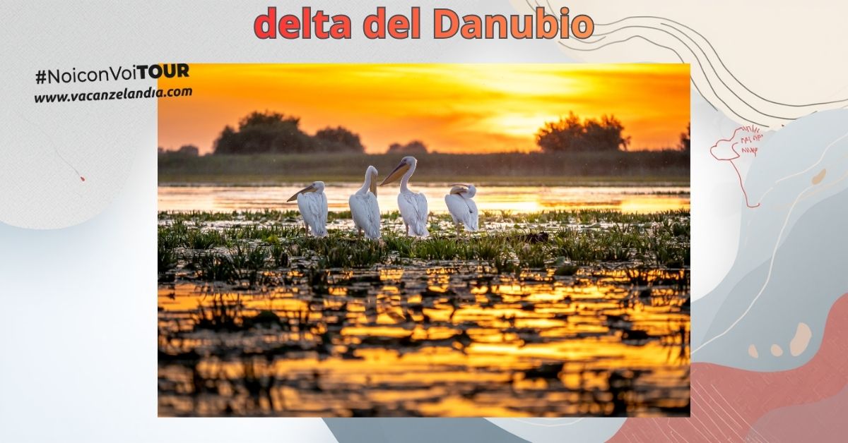delta danubio