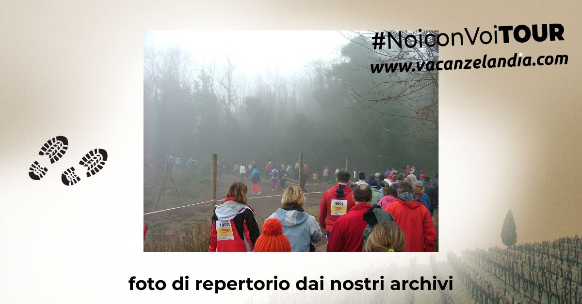 tappa montefortiana3